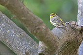 Serin, Ourika Valley, Morocco, April 2014 - click for larger image